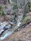 Icehouse Creek