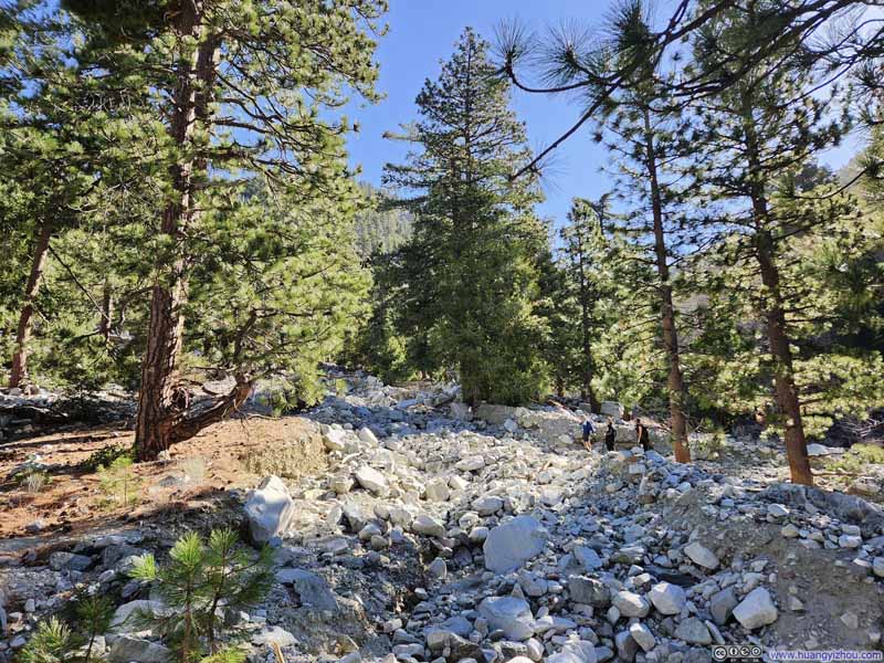 Field of Rocks along Icehouse Canyon