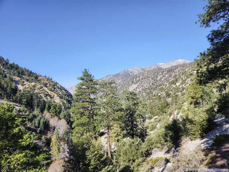 San Gabriel Mountains from Icehouse Canyon