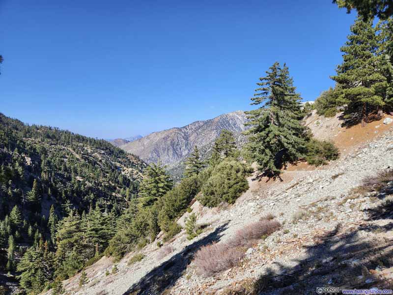 Trail above Icehouse Canyon