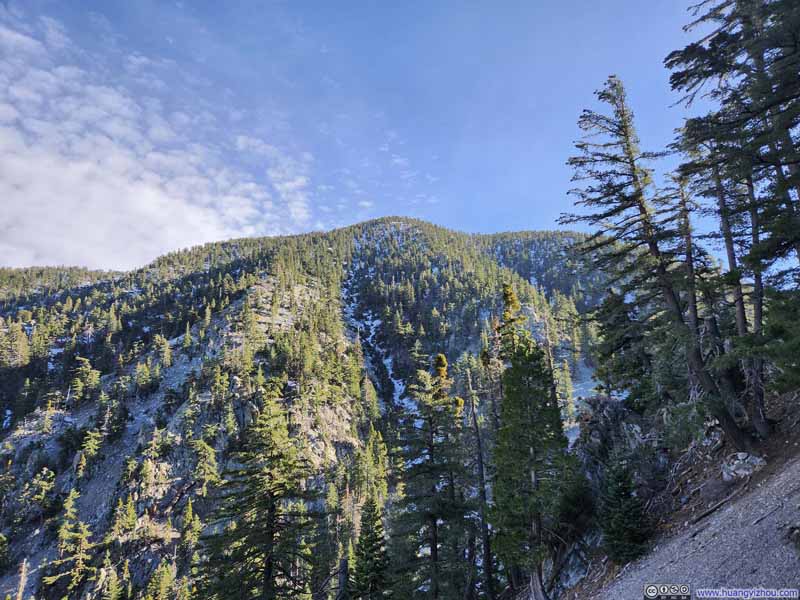 Cucamonga Peak from Trail