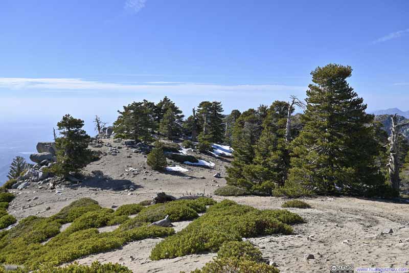 Summit Area of Cucamonga Peak
