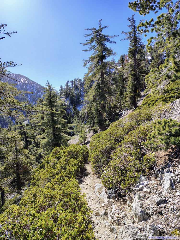 Trail