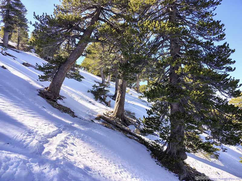 Snow along Trail