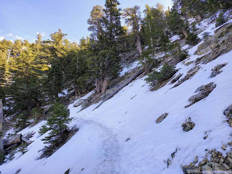 Snow along Trail