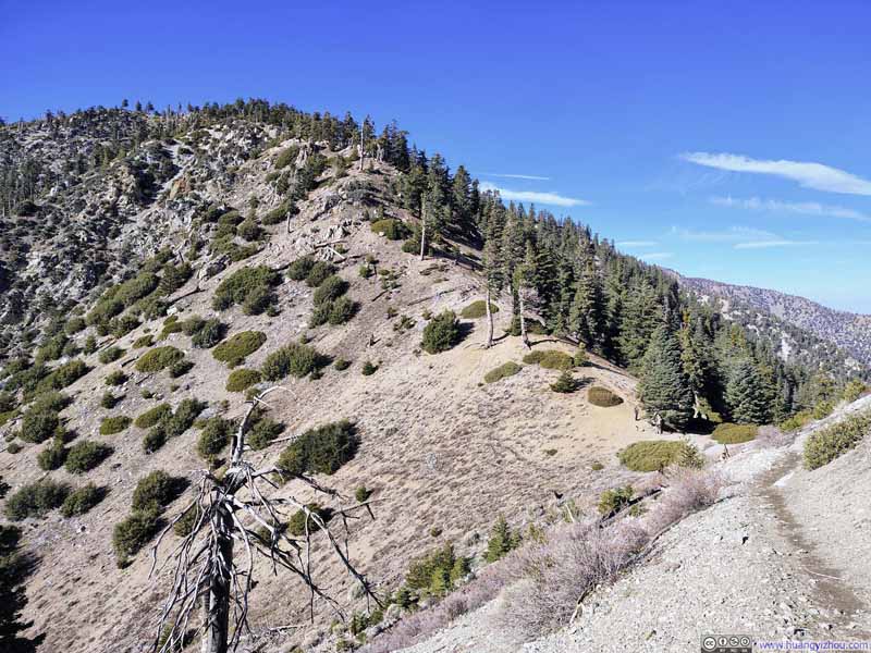 Ridge to Bighorn Peak