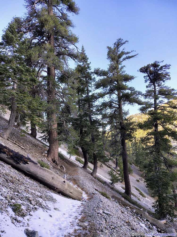 Snow along Trail