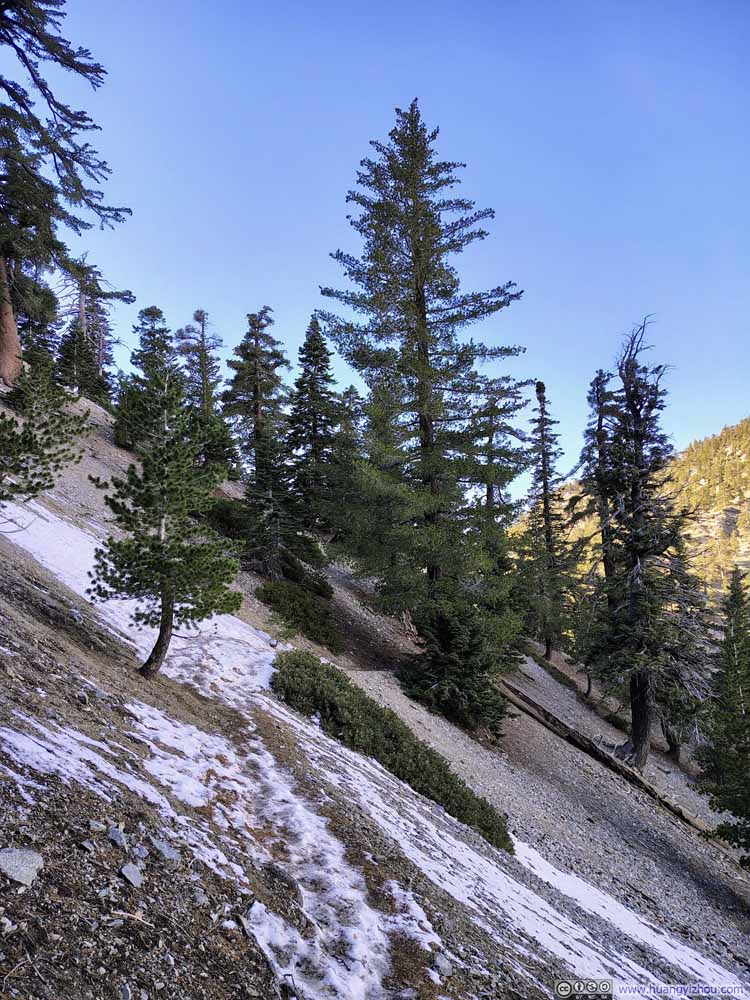 Snow along Trail