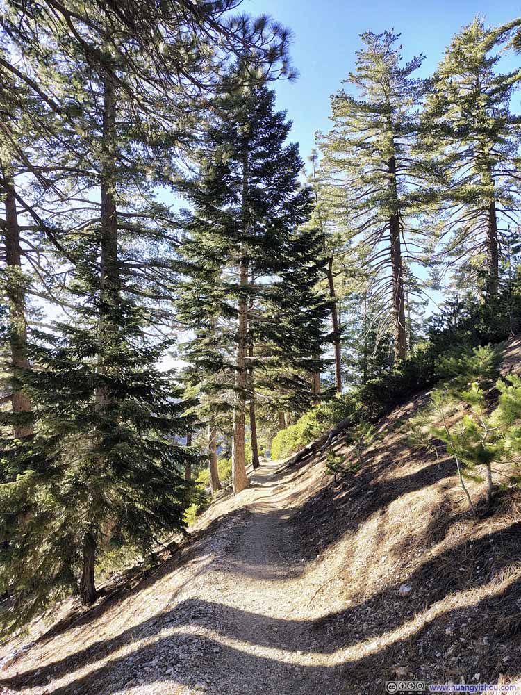 Trail