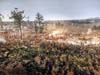 Battle of Atlanta Cyclorama