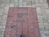 Bricks Marking Donor for 1996 Atlanta Olympics