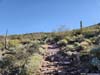 Trail