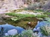 La Barge Creek