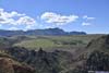 Greeneries on Black Mesa