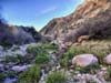 Trail along La Barge Creek