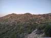 Trail
