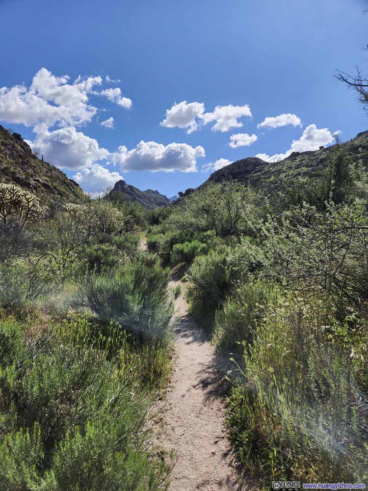 Trail in Boulder Canyon
