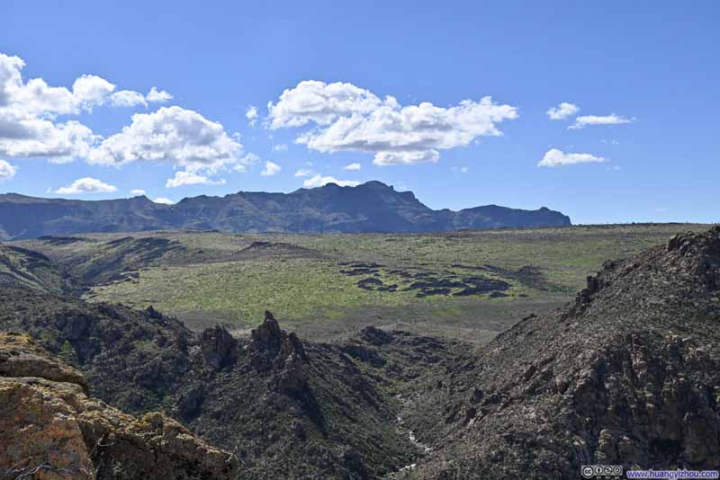 Greeneries on Black Mesa