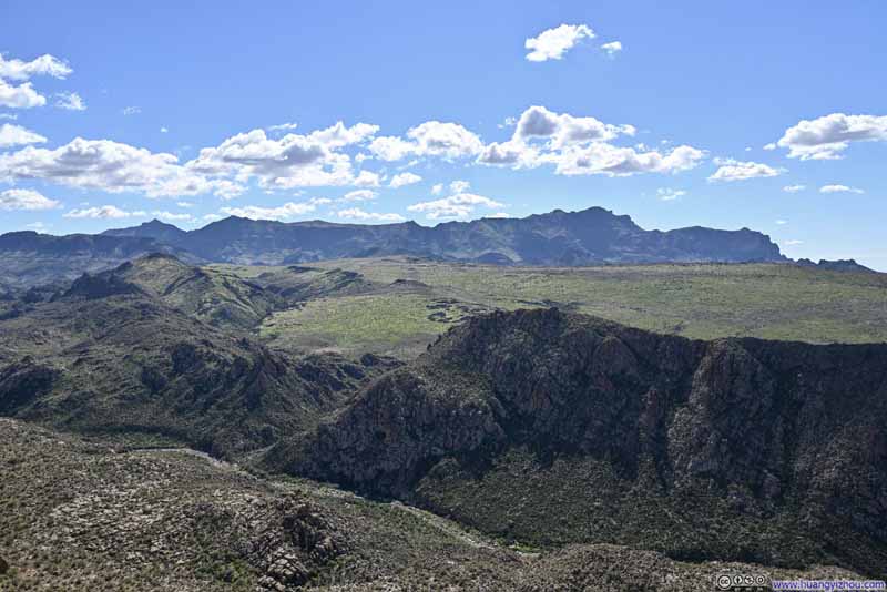 Greeneries on Black Mesa