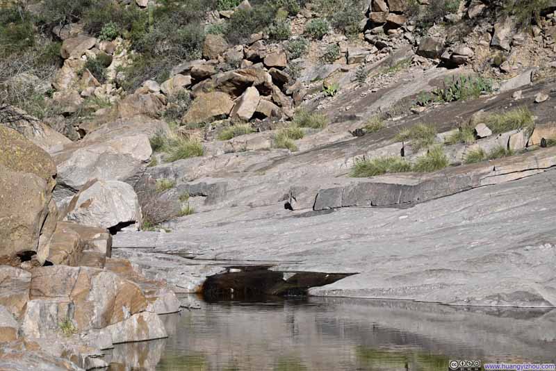 Trickle along La Barge Creek