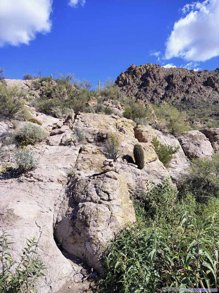 Trail towards Battleship Mountain