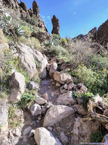 Steep Trail to Picketpost Mountain