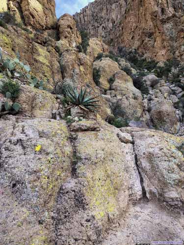 Narrow and Steep Path