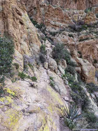 Narrow Path