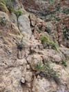 Narrow and Steep Path
