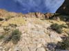 Trail to Picketpost Mountain