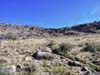 Trail on Picketpost Mountain