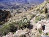 Trail from Picketpost Mountain