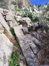 Steep Trail to Picketpost Mountain
