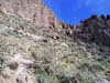 Trail to Picketpost Mountain