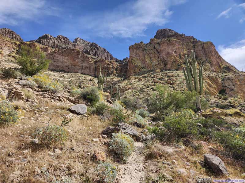 Trail to Picketpost Mountain