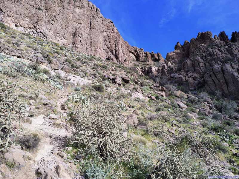 Trail to Picketpost Mountain