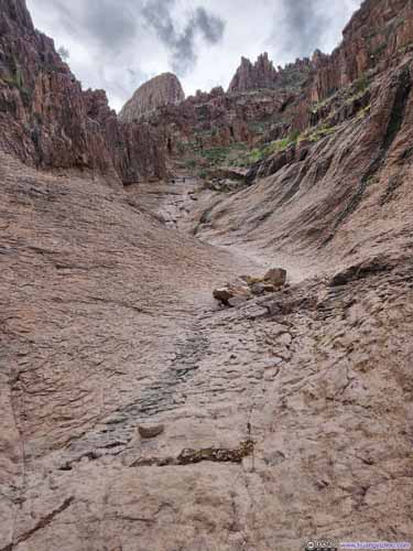 Path on Siphon Draw Slickrock