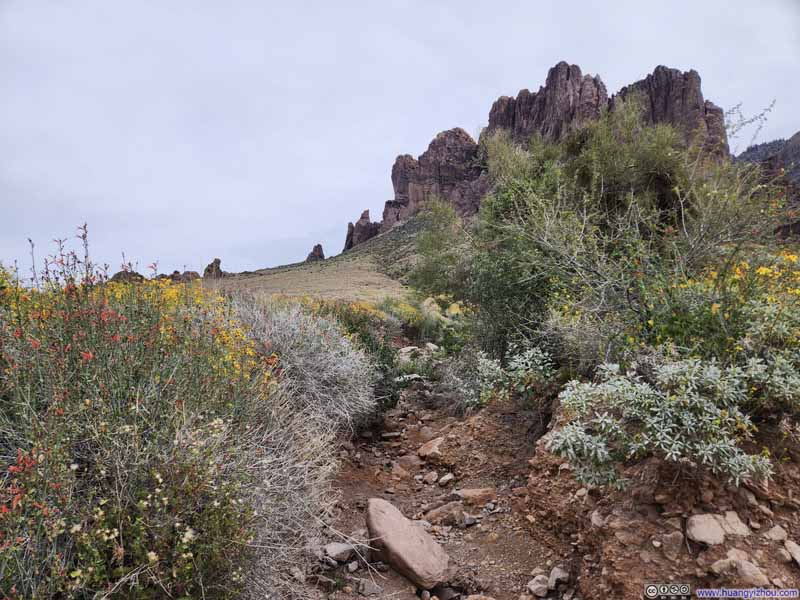 Ditch between Flowers