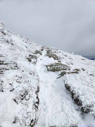 Trail to Mt Eisenhower