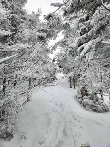 Trail