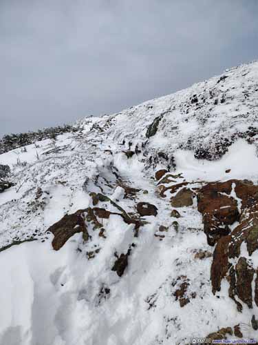 Trail to Mt Eisenhower
