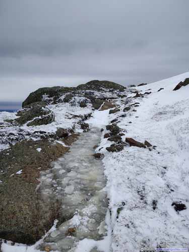 Frozen Ice along Trail