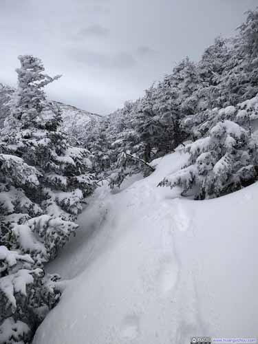 Snow-Covered Edmands Path
