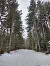 Mt Clinton Road