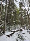 Footbridge across Gibbs Brook