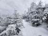 Snowy Path to Mt Pierce