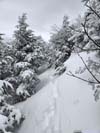 Snow-Covered Edmands Path