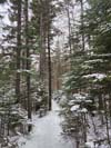 Trail