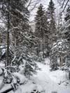 Trail