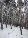 Trail